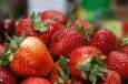 Stengte landegrenser og strenge smittevernstiltak setter jordbærsesongen i fare