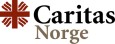 Caritas Norge og Fair Play Bygg: – Økt utnyttelse av utenlandske arbeidstakere under pandemien
